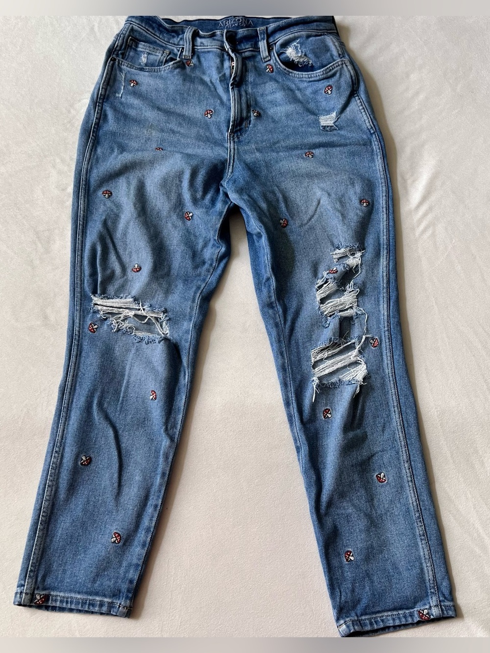 Arizona Jean Company Blue Distressed Jeans with Embroidered mushroom Y2K cottage